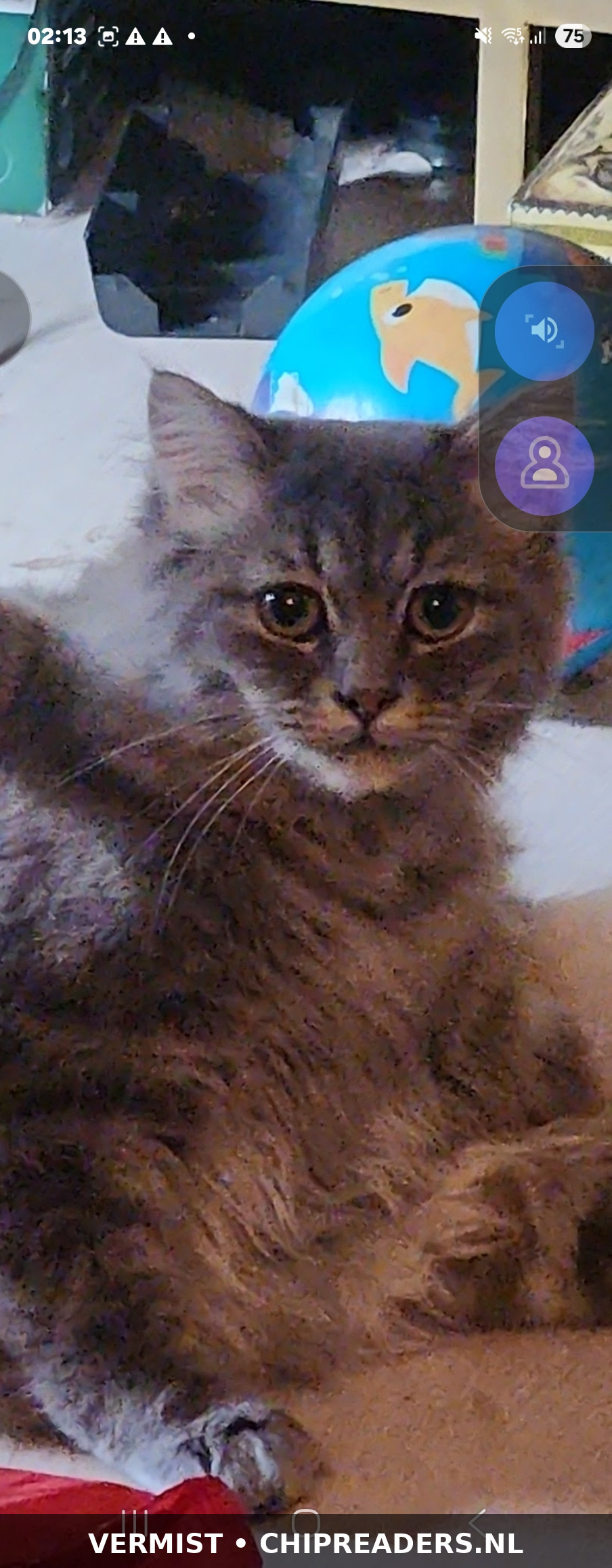Mimmi foto 2