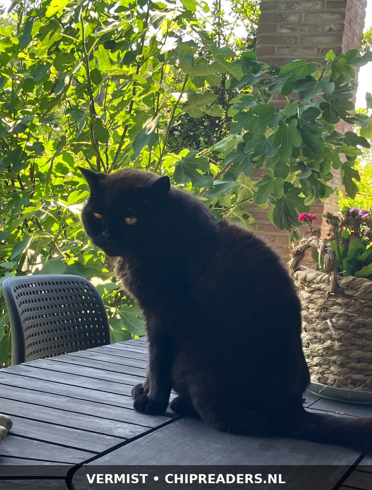 Foto van Jack