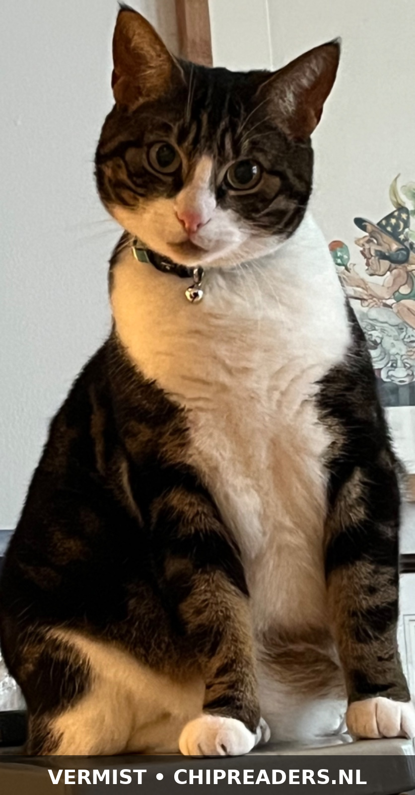 Saartje