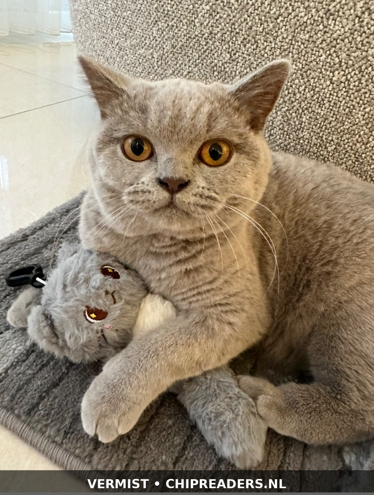 Ponci