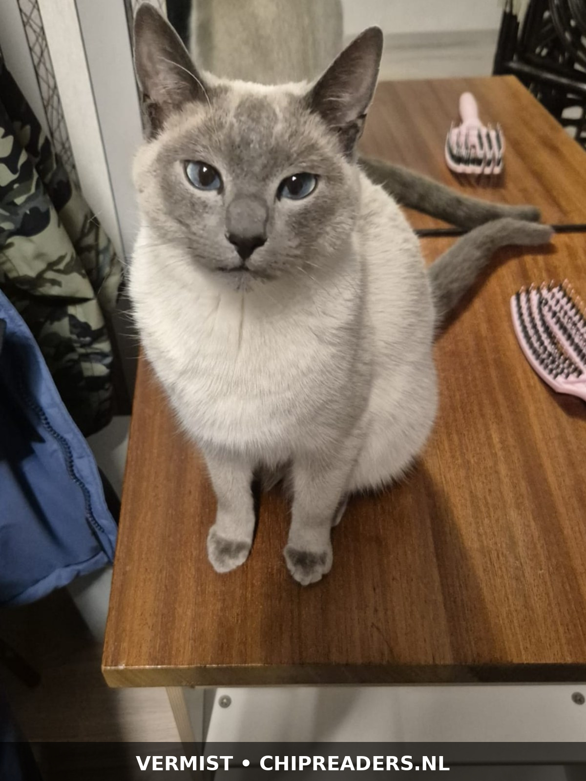 Lio