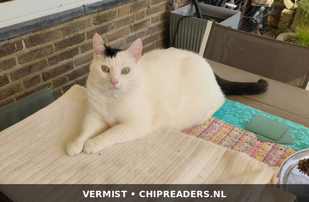 Foto van Floris