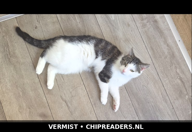 Foto van Molly