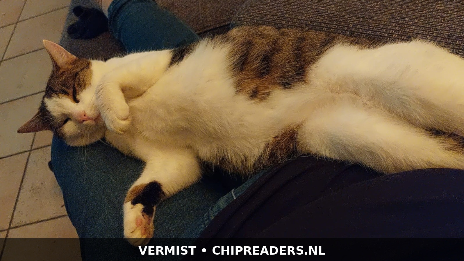Foto van Henk