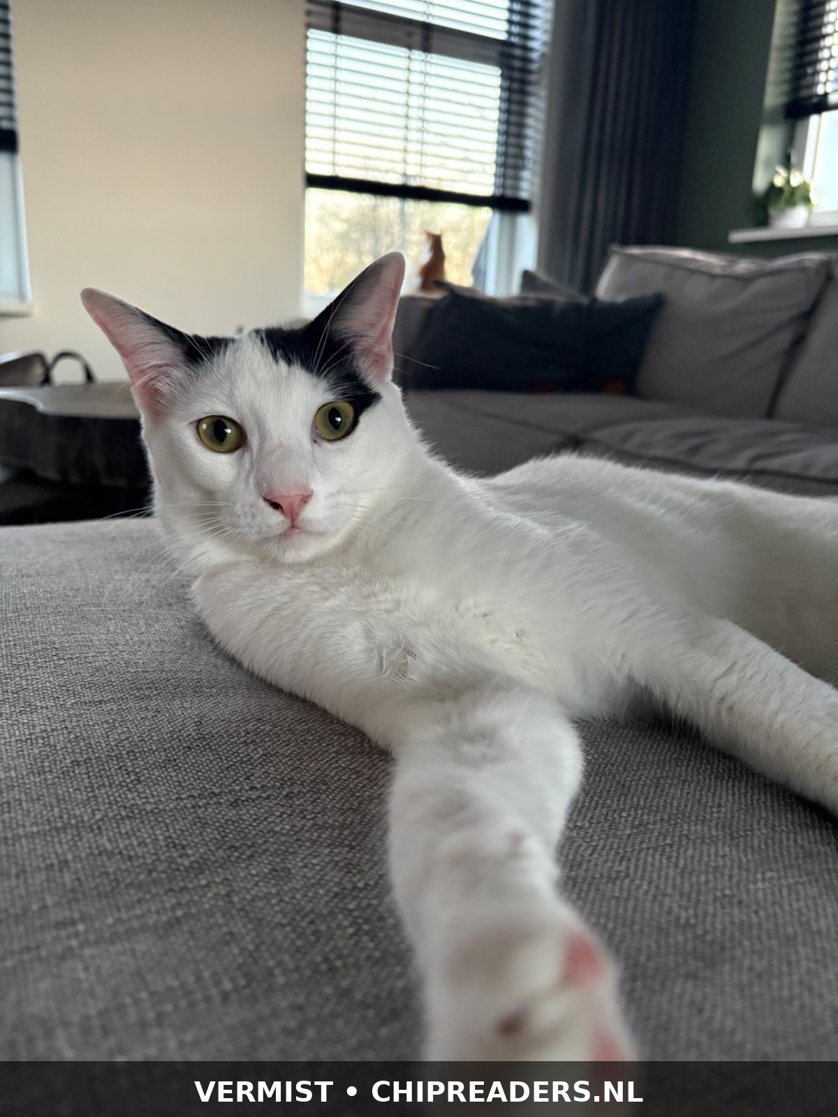 Foto van Tiago