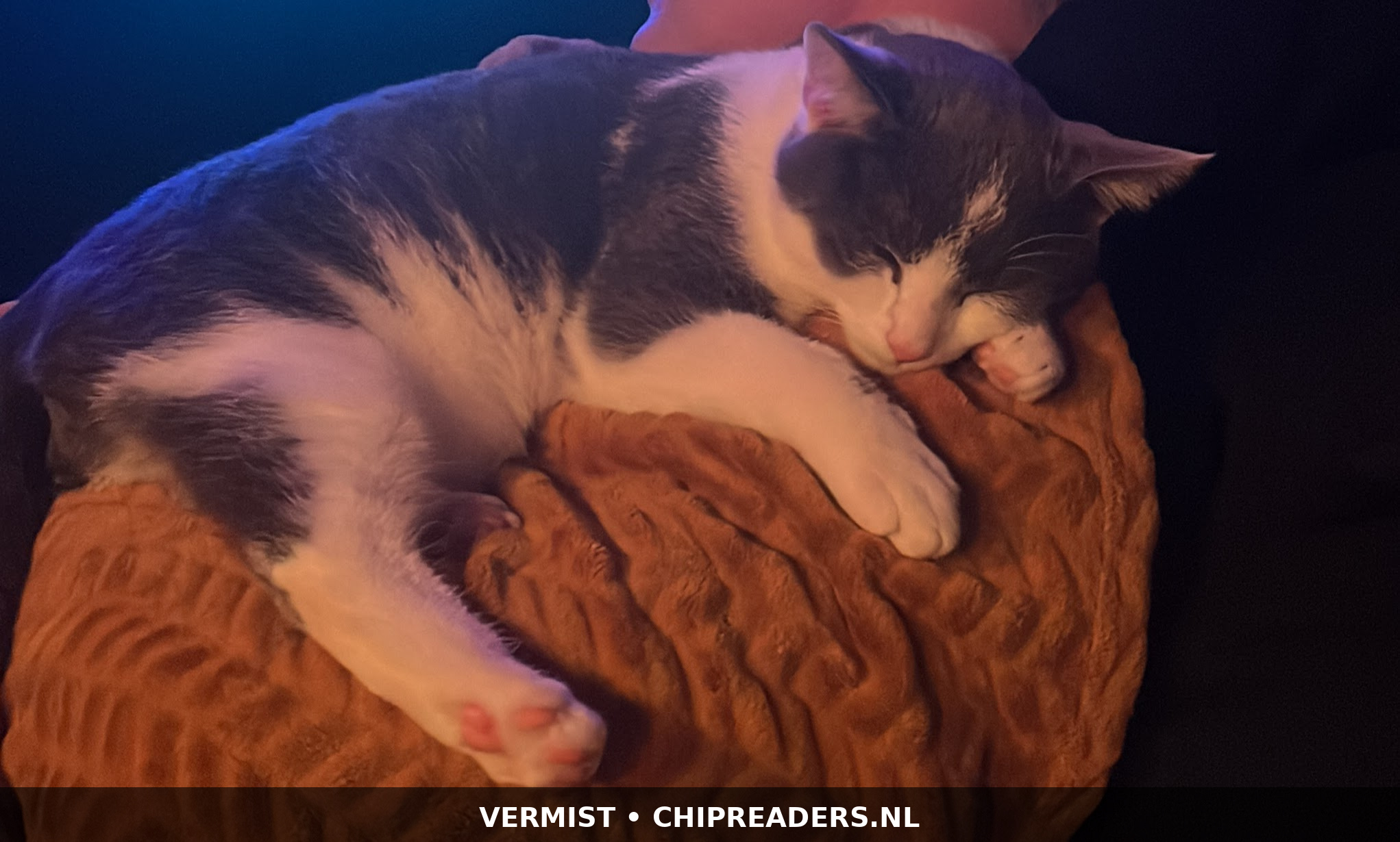 Appa foto 4