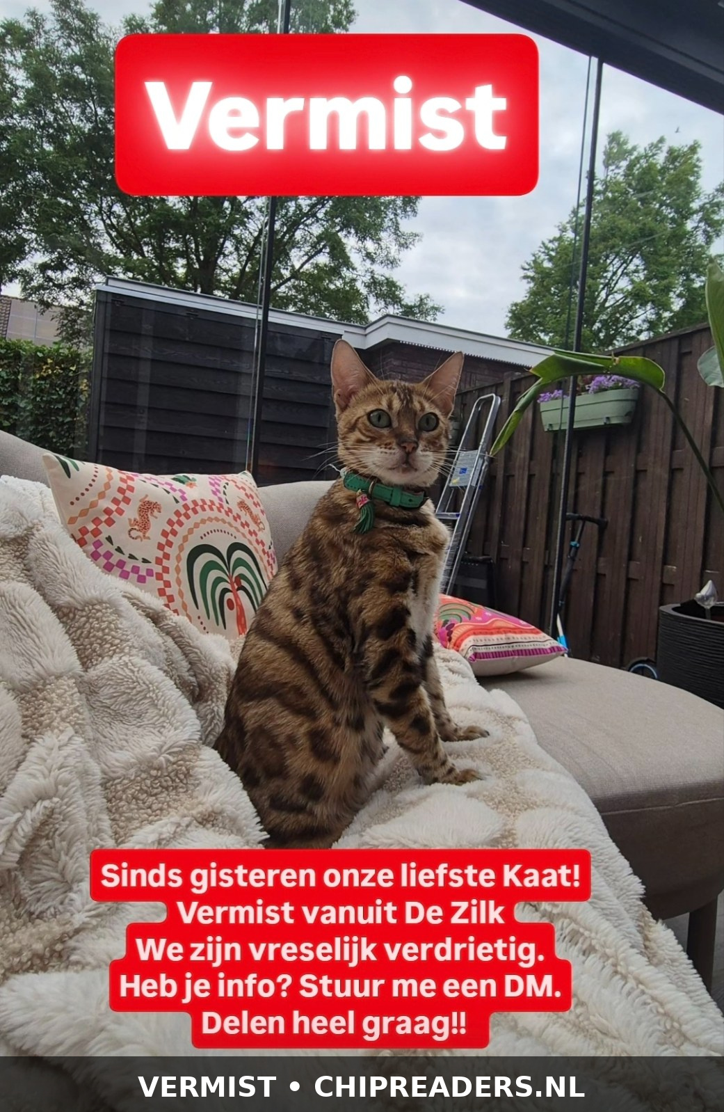Foto van Kaat