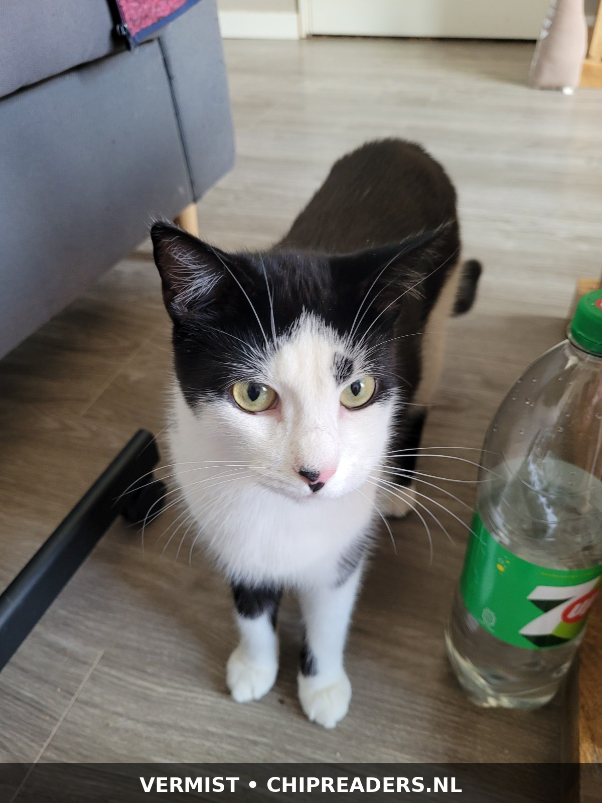 Foto van Bobby
