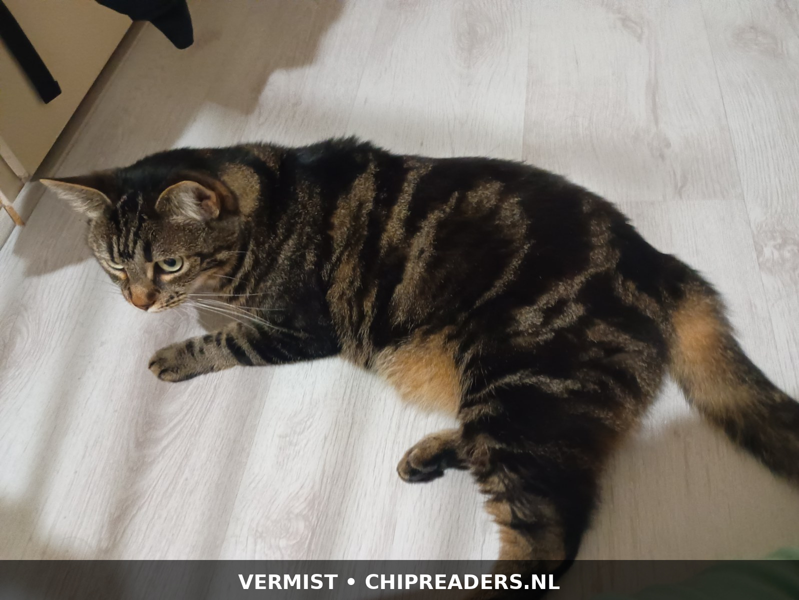 Foto van Nyla