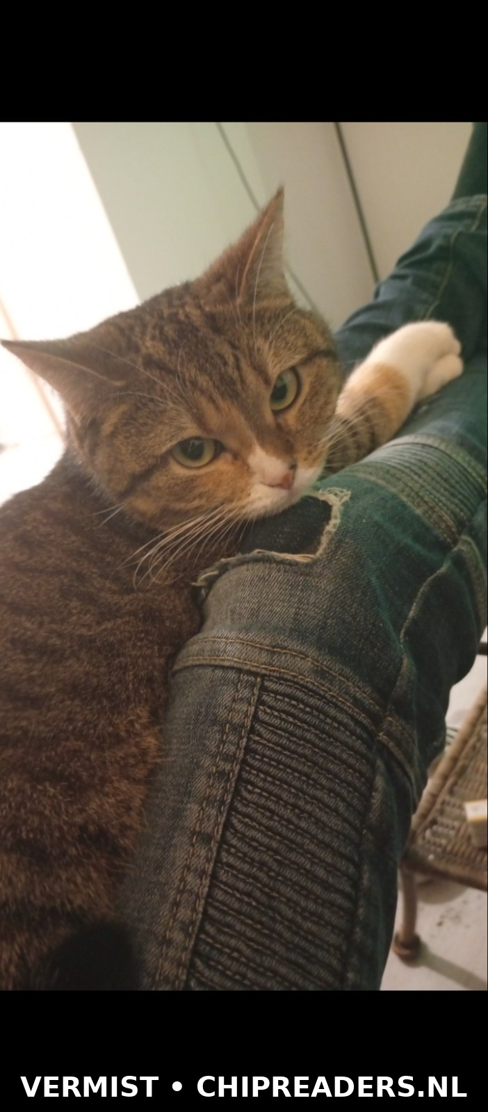 Foto van Mila