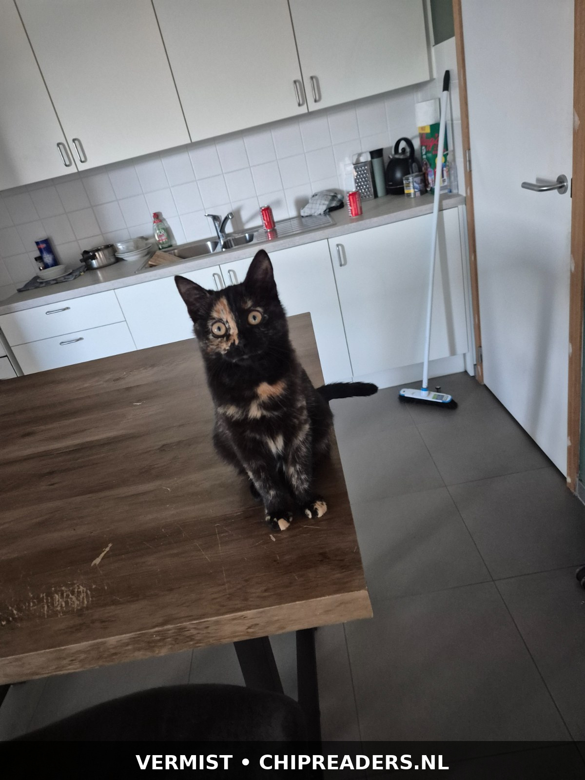 Foto van Nova