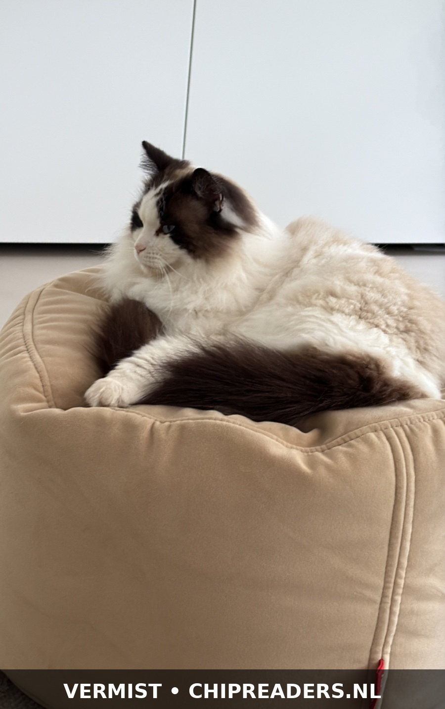 Max