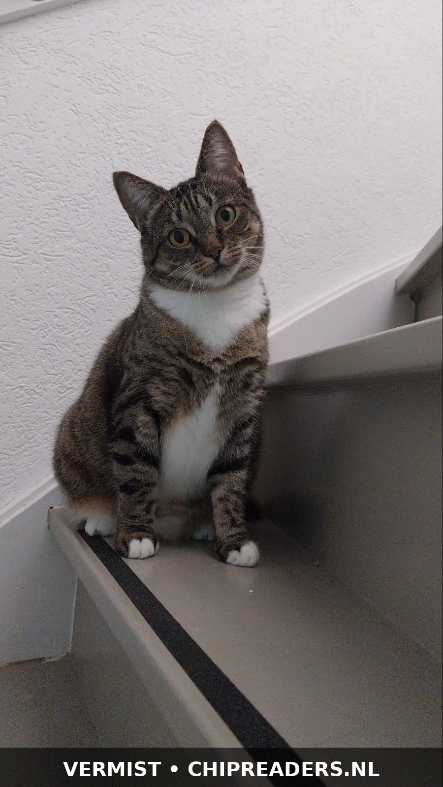 Foto van Pepper
