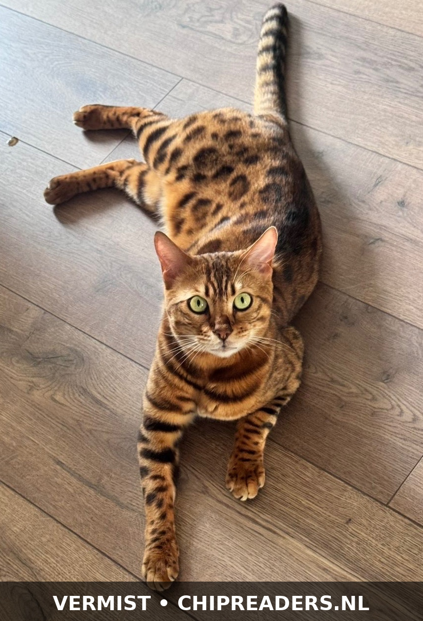 Foto van Kenzo