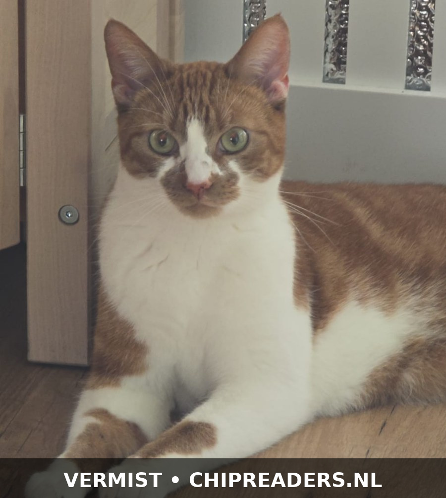 Foto van Vuur