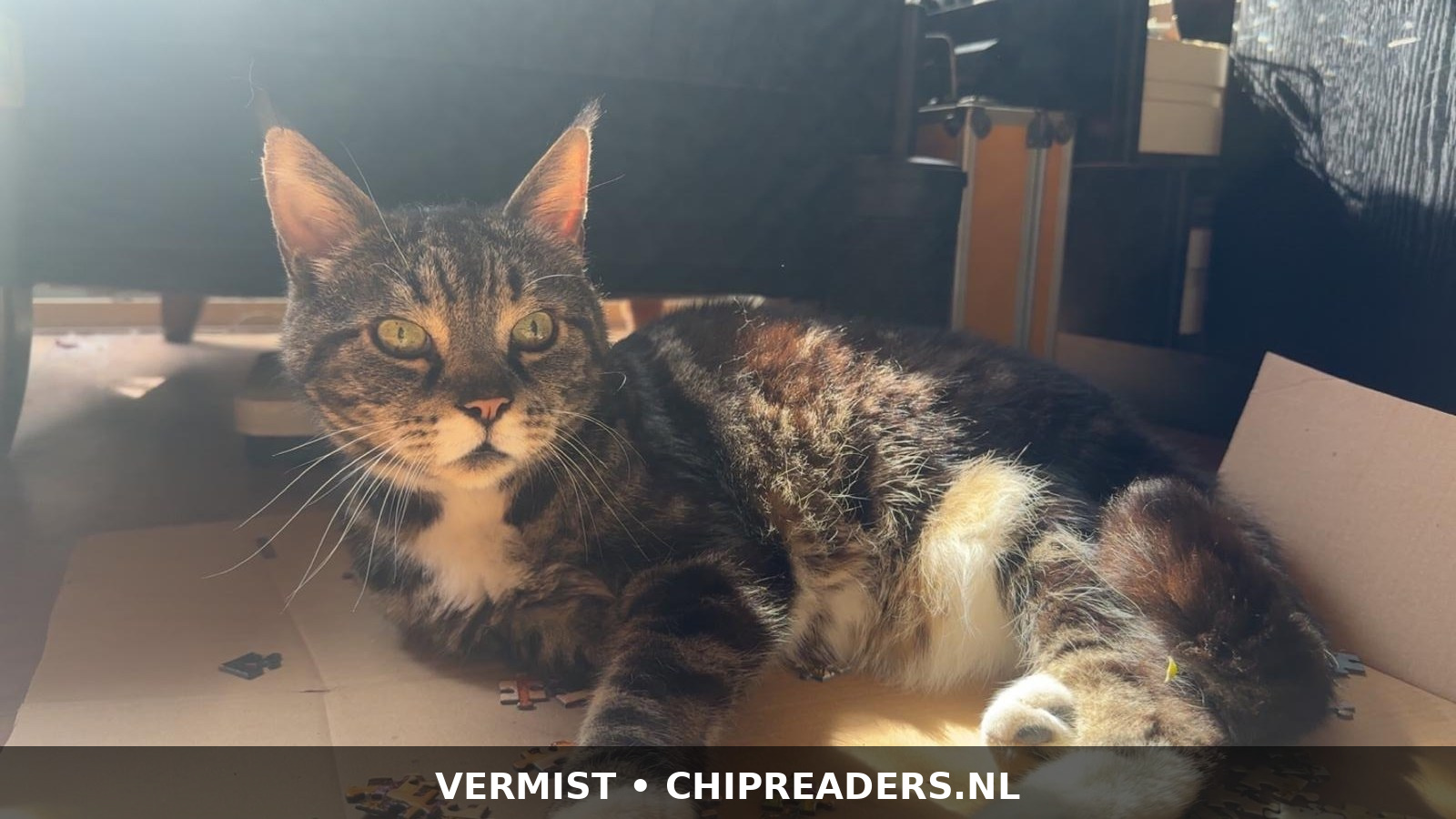 Foto van Pablo
