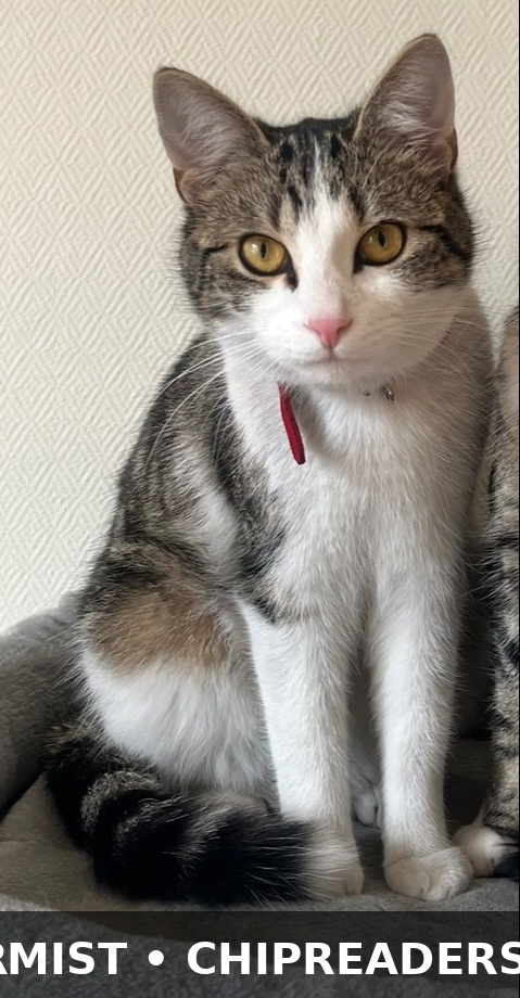 Foto van Noukie