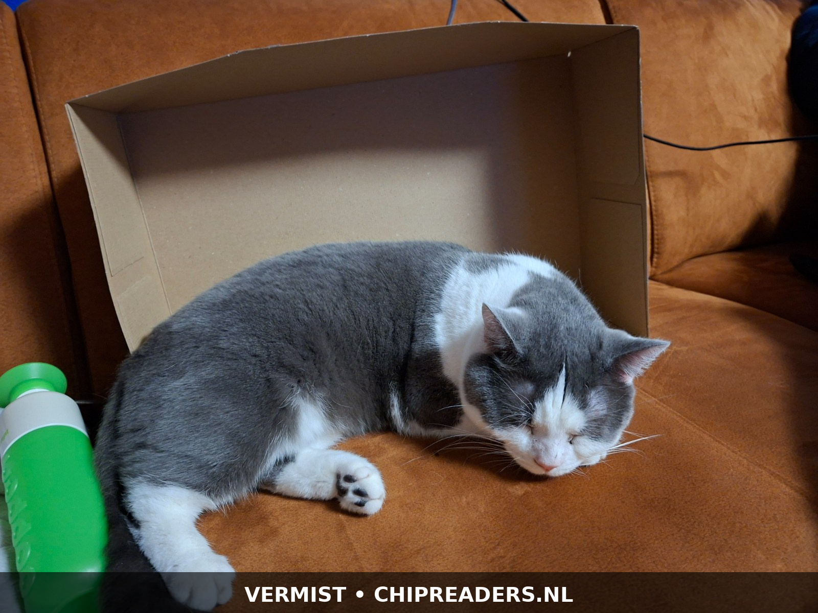 Foto van Ben