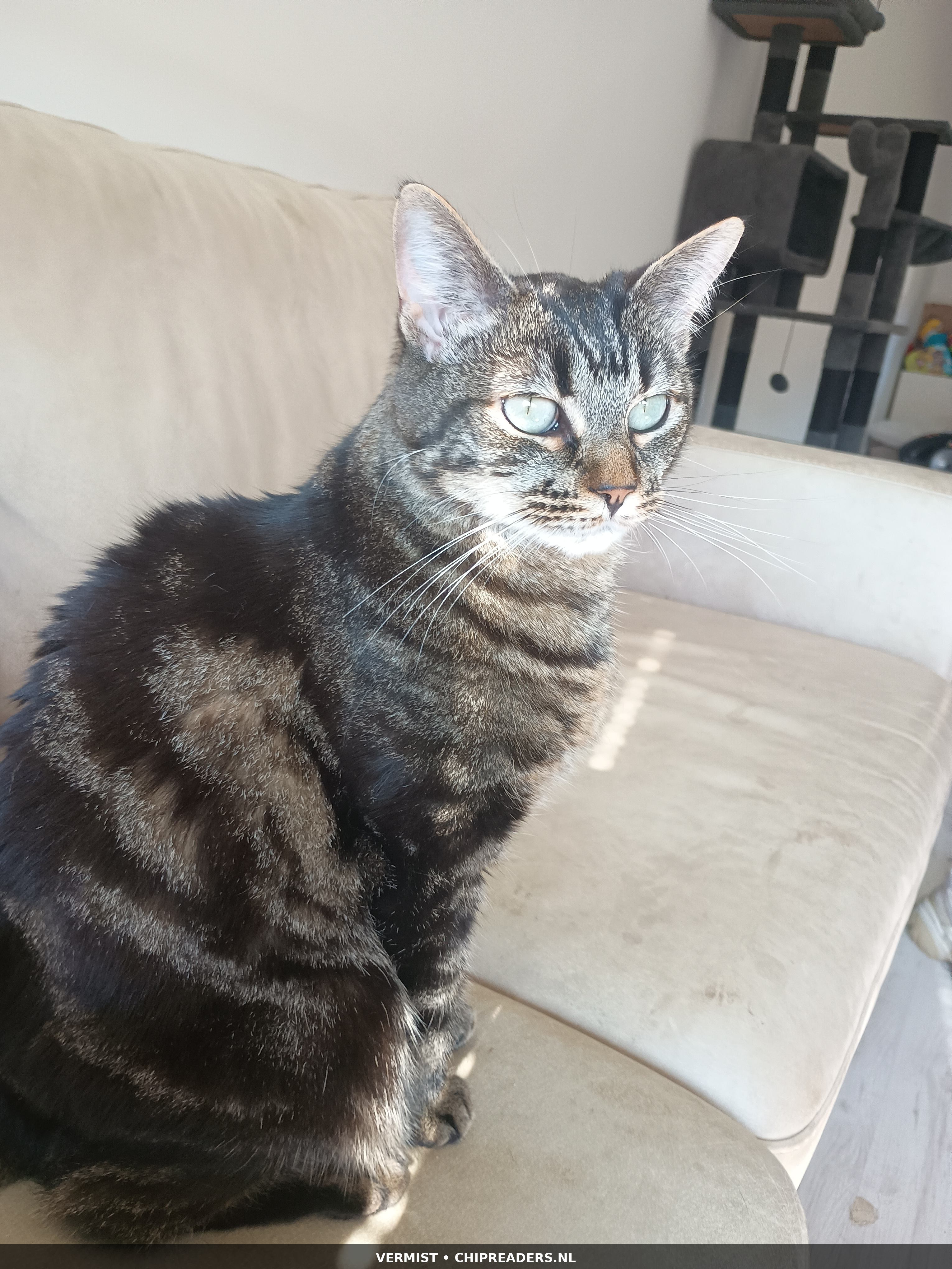 Nyla foto 3