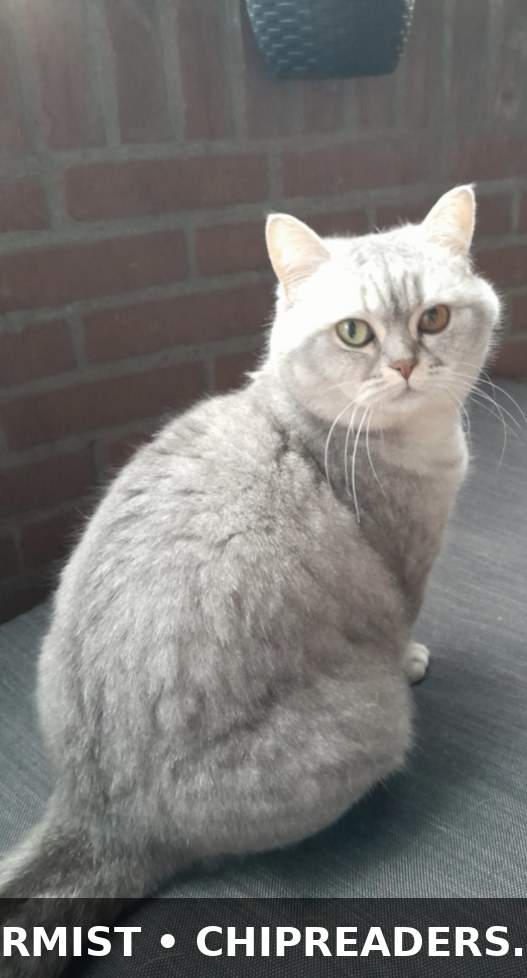Bella foto 1