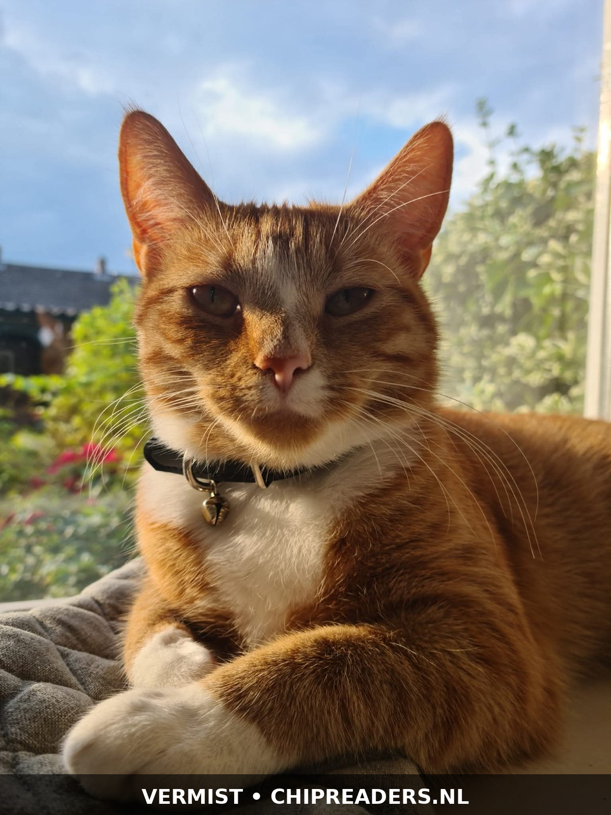 Foto van Mango