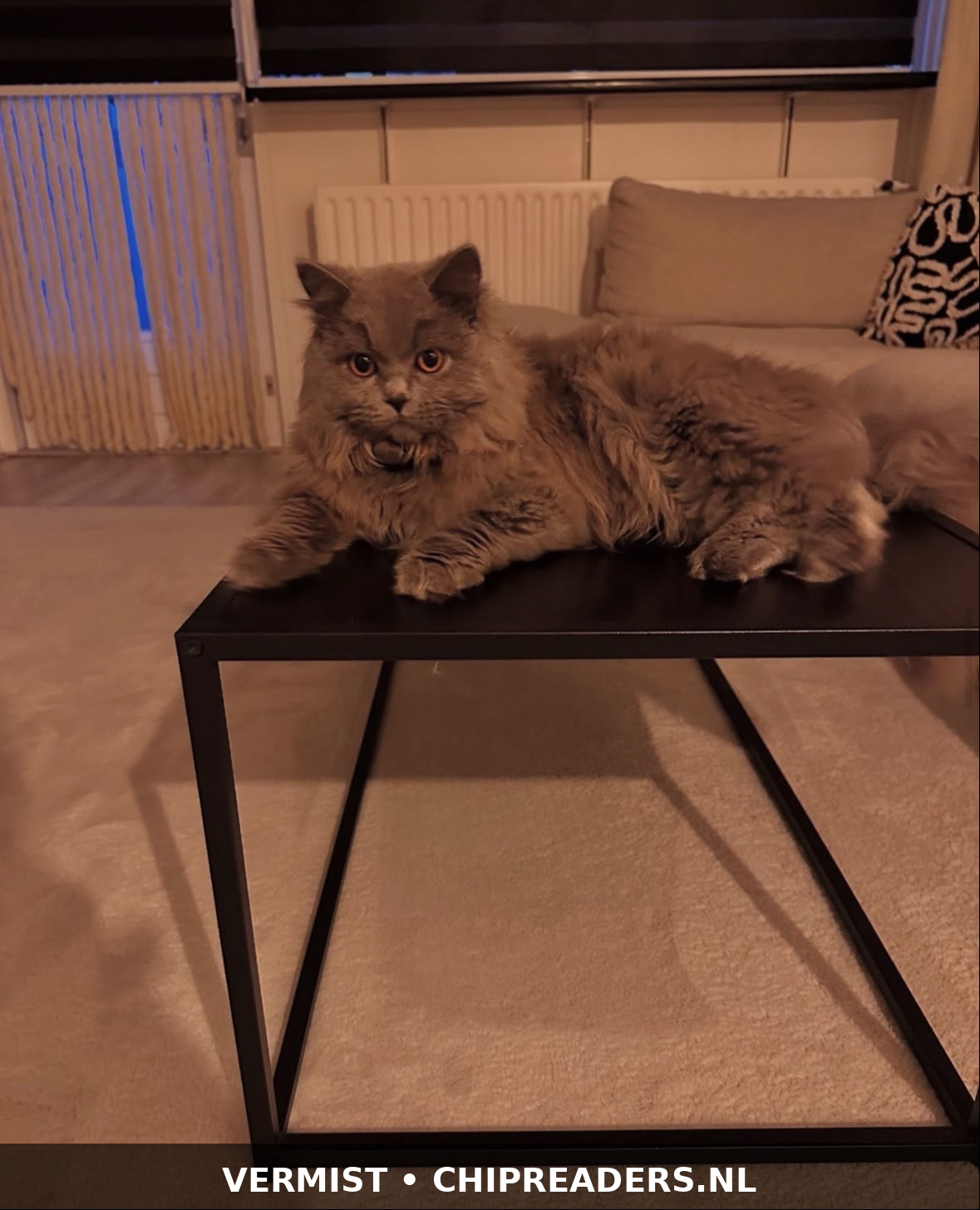 Coco