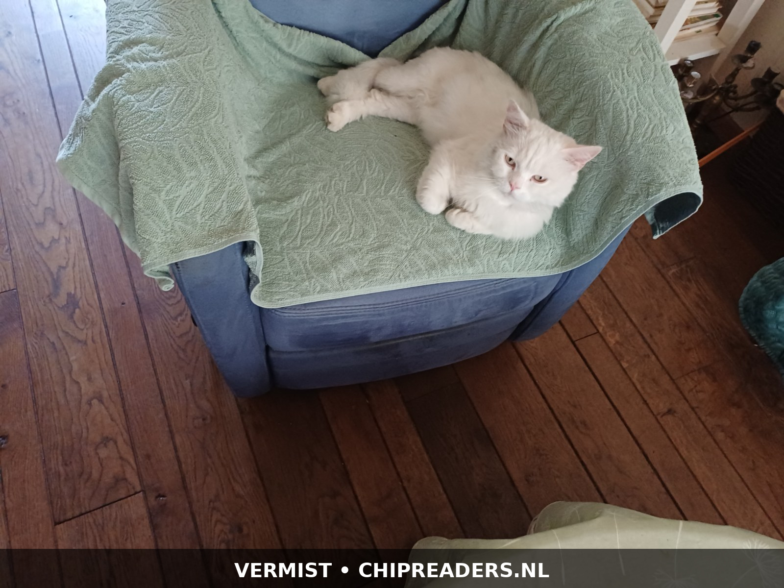 Foto van Milo