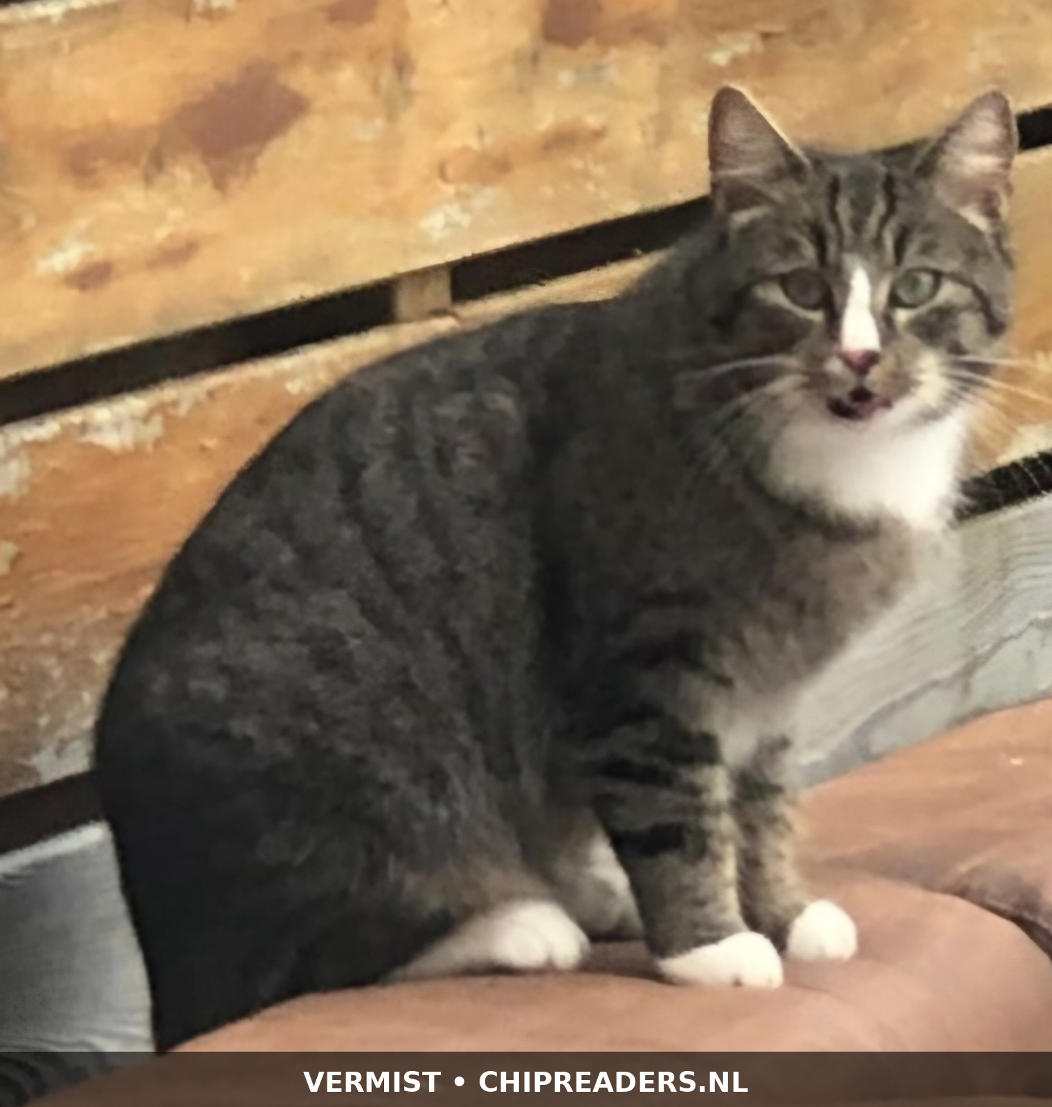 Foto van Bliksem