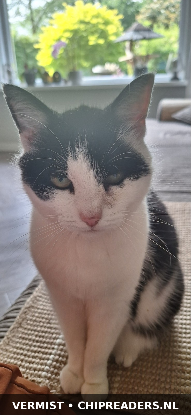 Foto van Mika