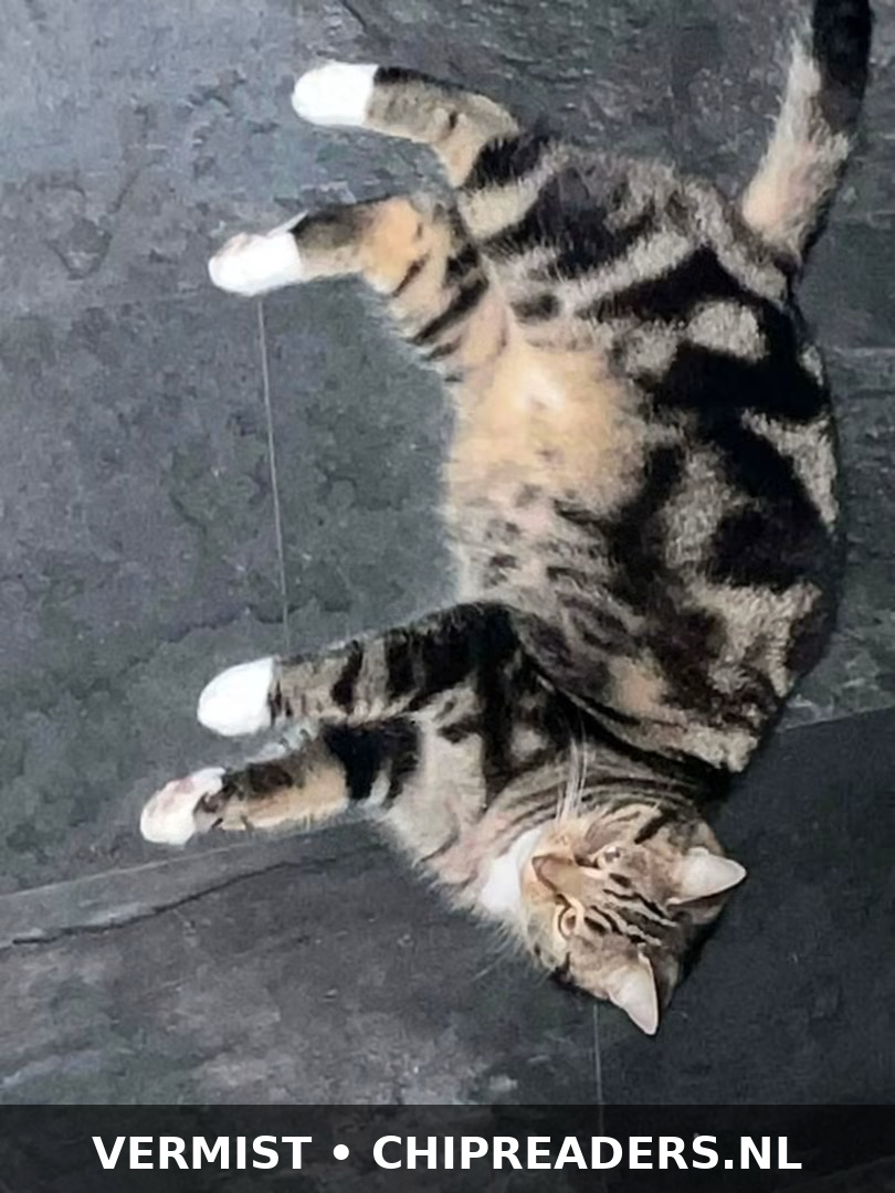 Foto van Mimi