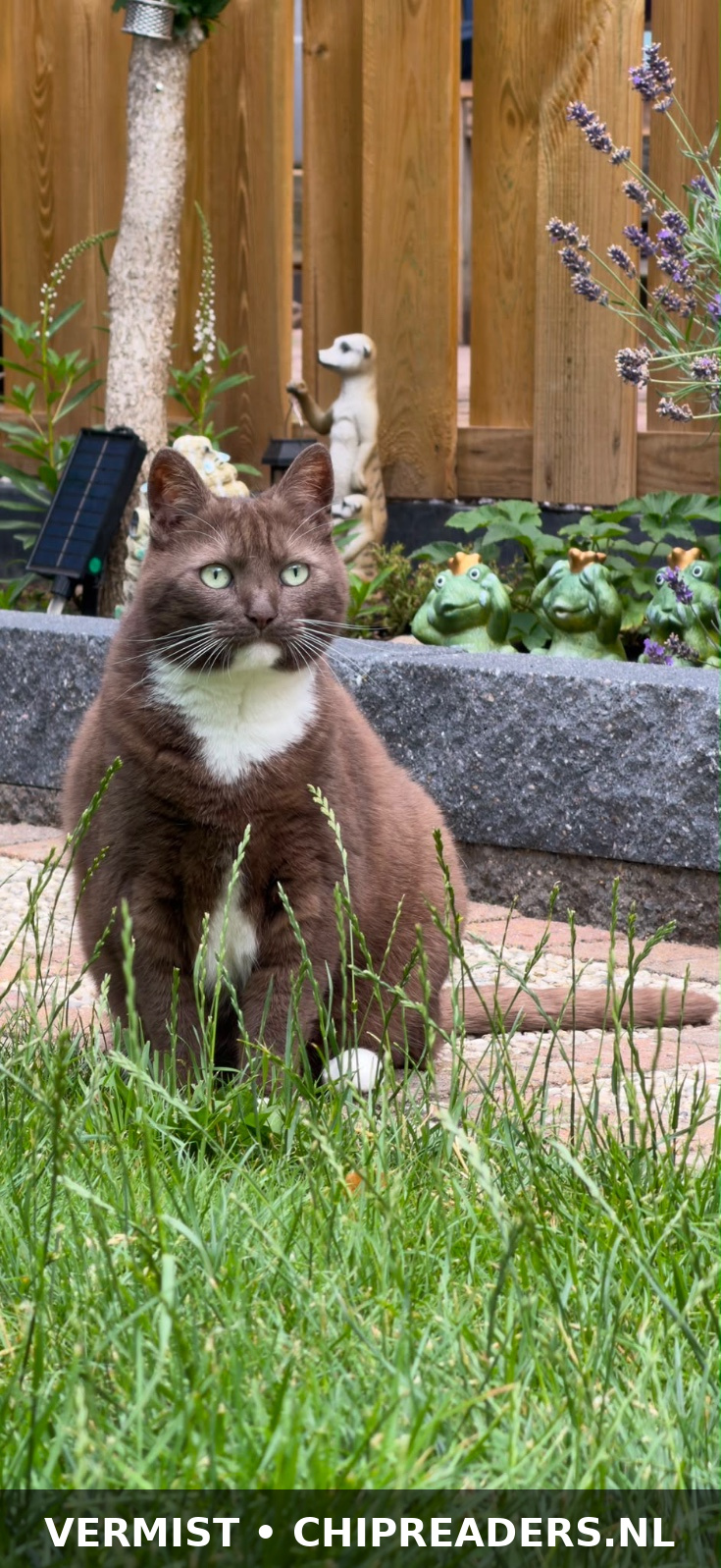 Foto van Skye