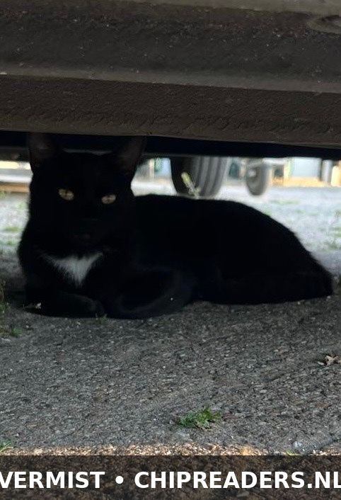 Foto van Nonni