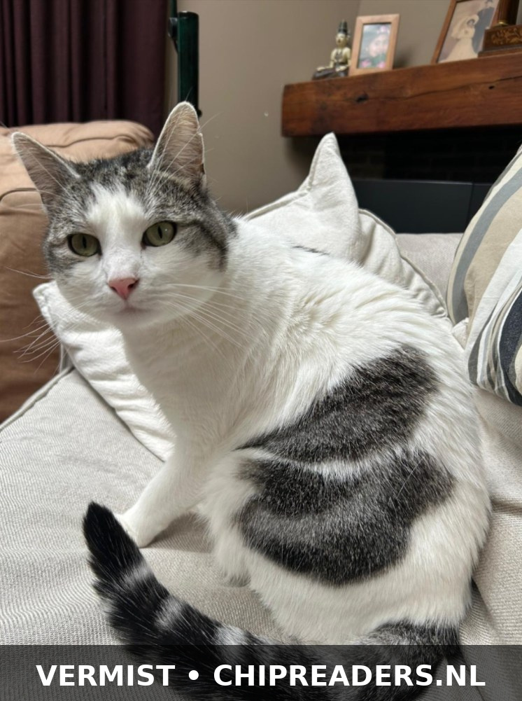 Yuki
