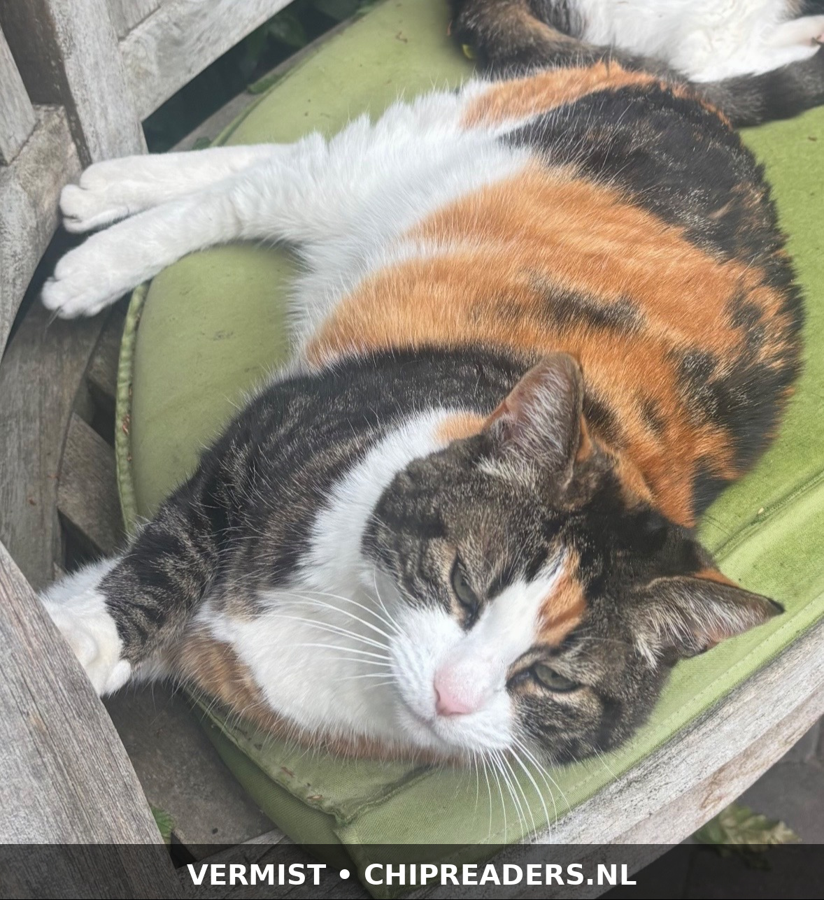 Foto van Floortje