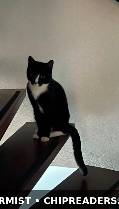 Foto van Lucky