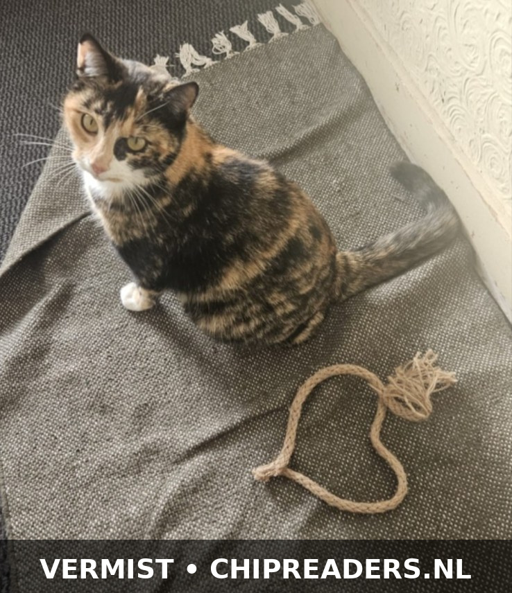 Foto van Rani