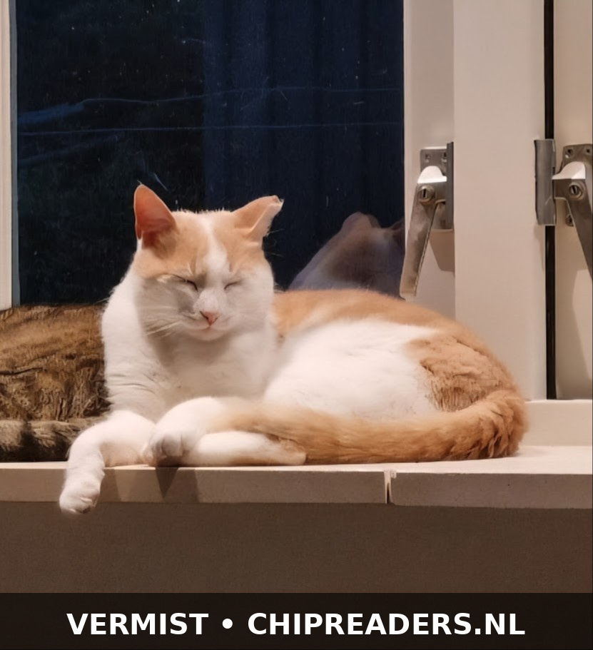 Foto van Sammie