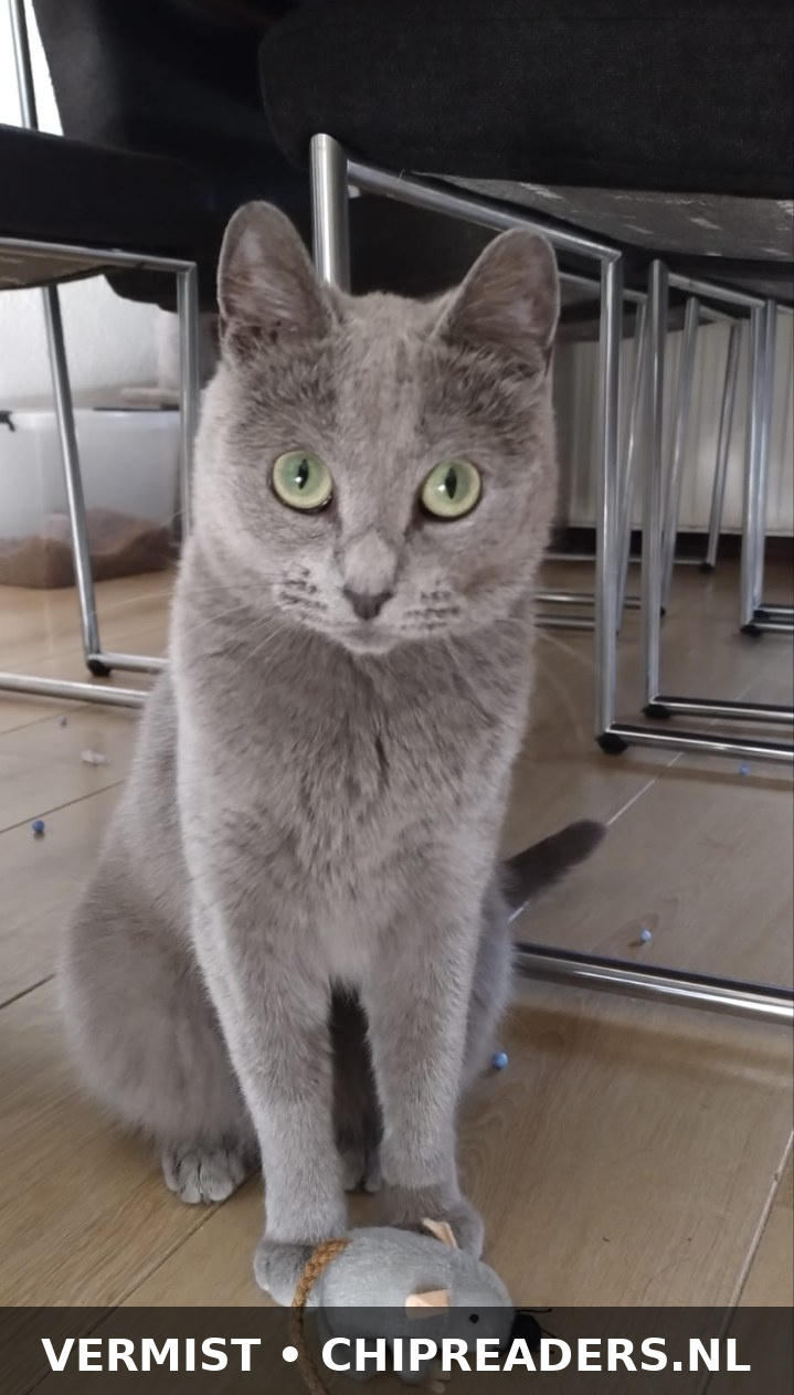 Foto van Boba
