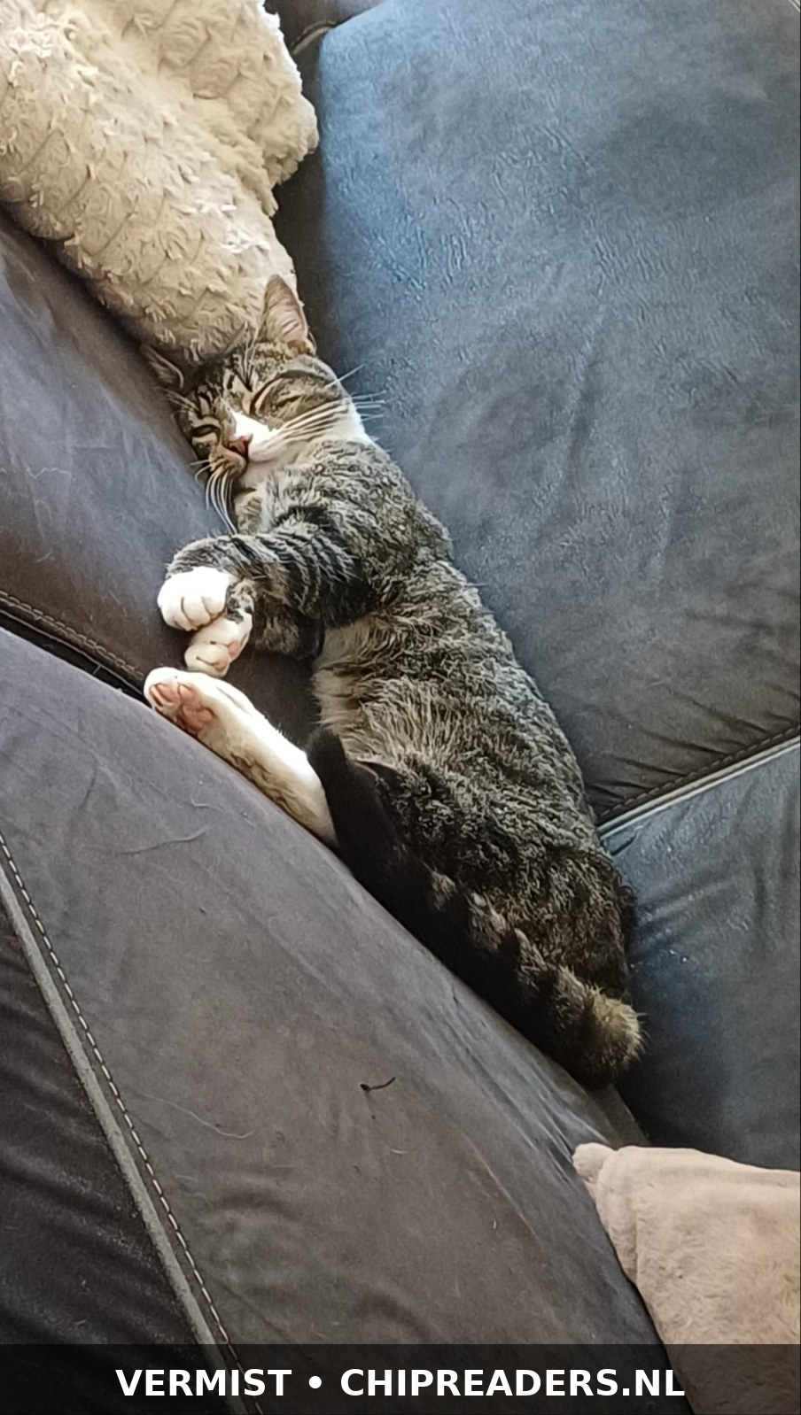 Foto van Rocky