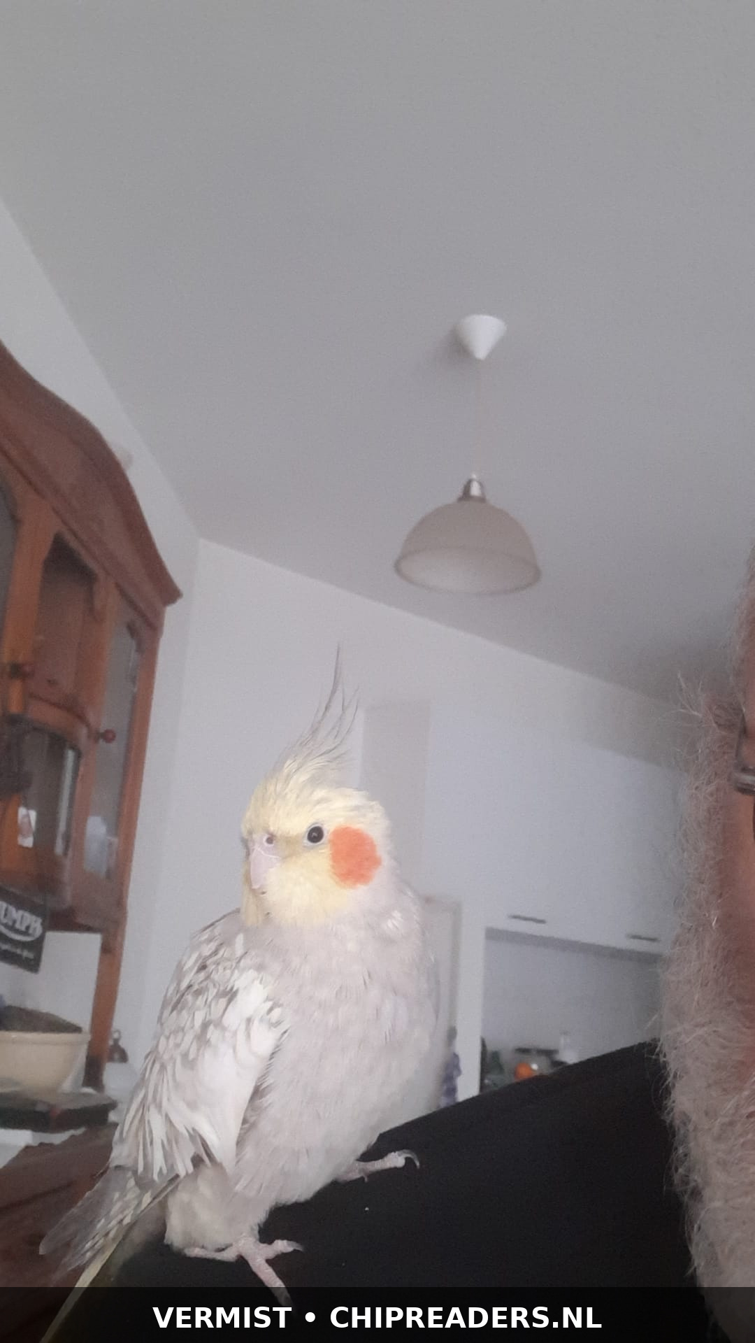 Foto van Peppie
