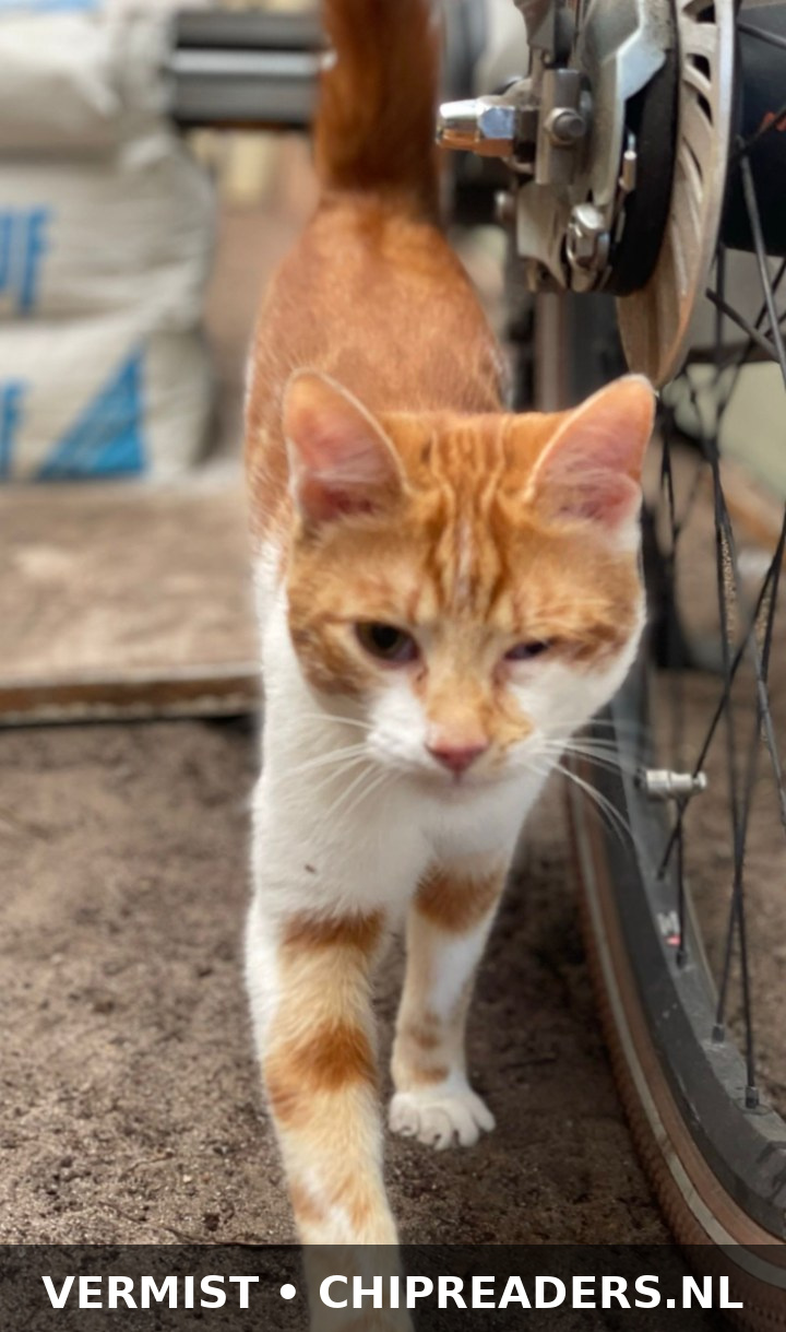 Foto van Max