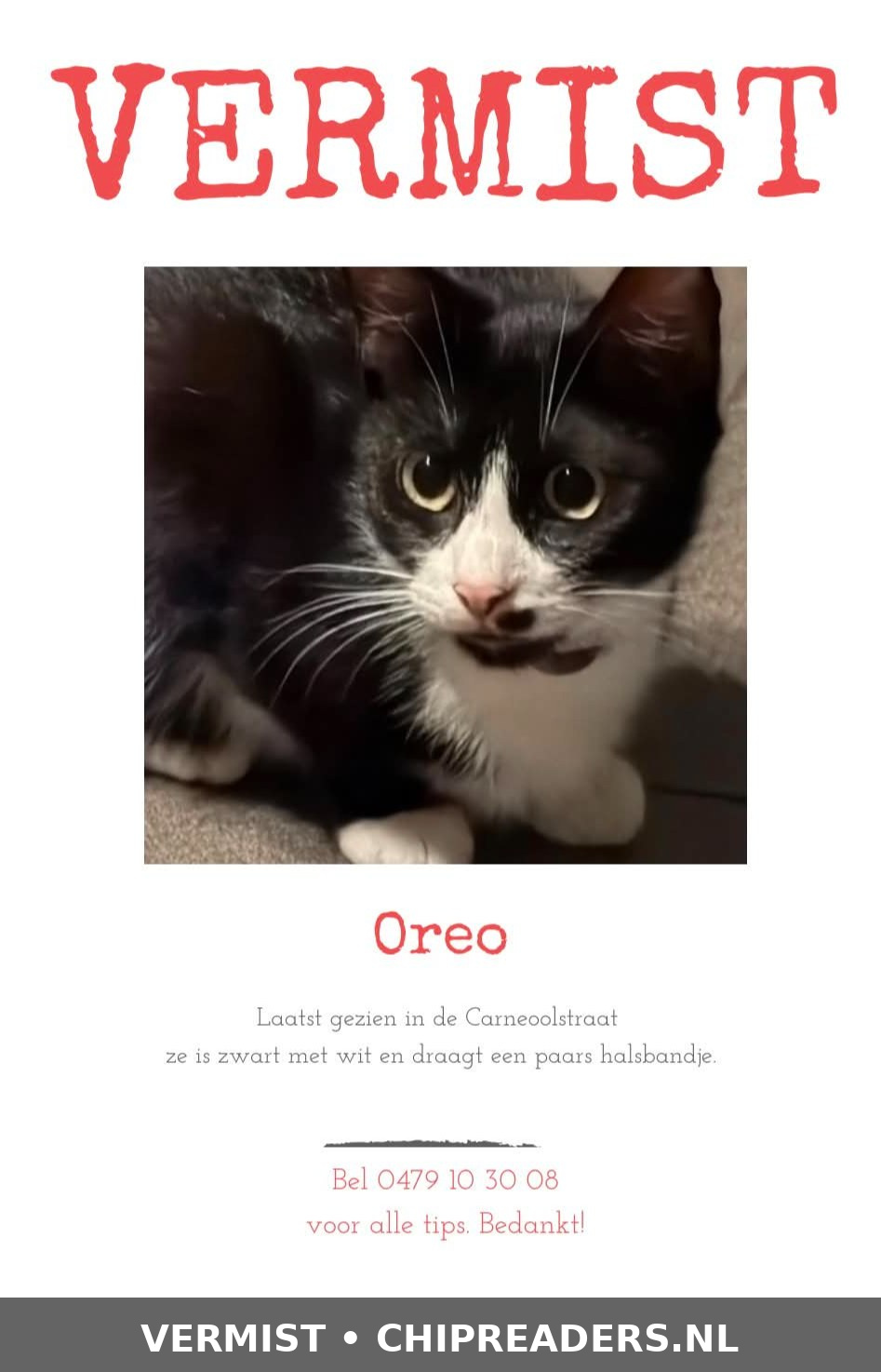 Oreo foto 1