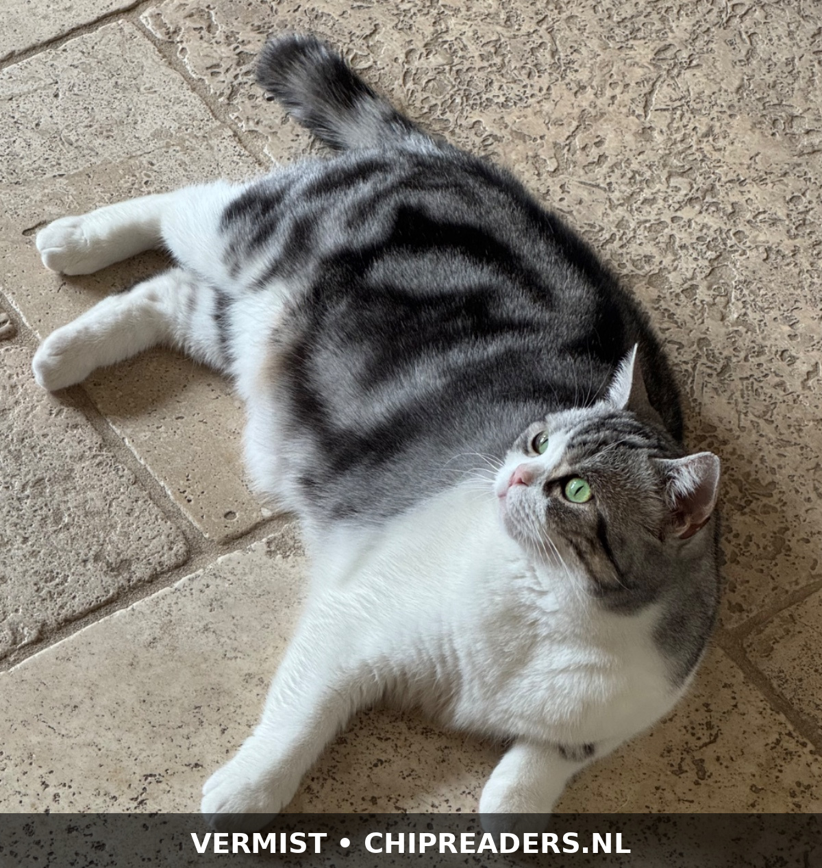 Foto van Angel