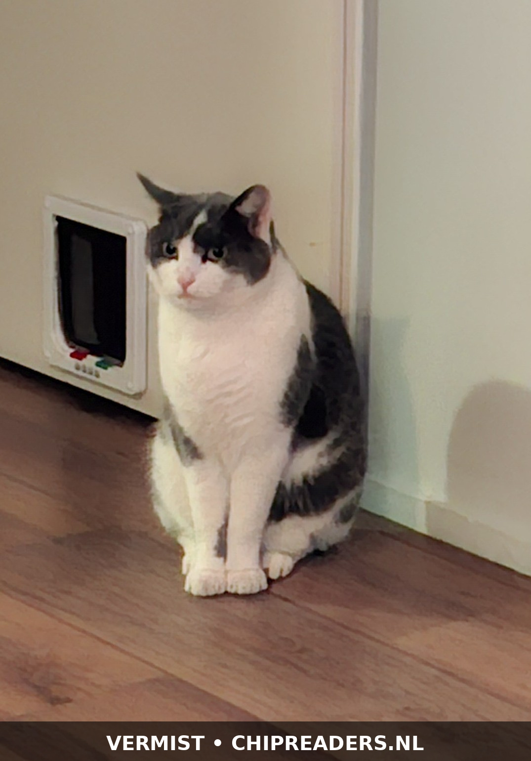 Appa foto 2