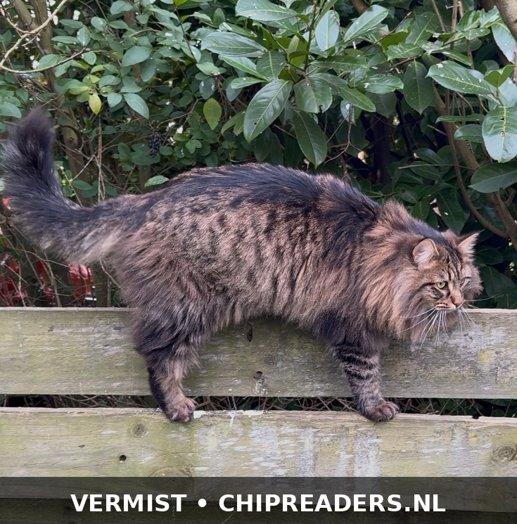 Foto van Lodewijk
