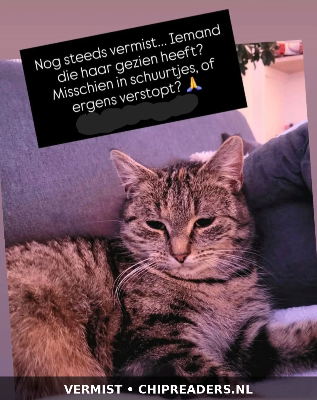 Foto van Zara