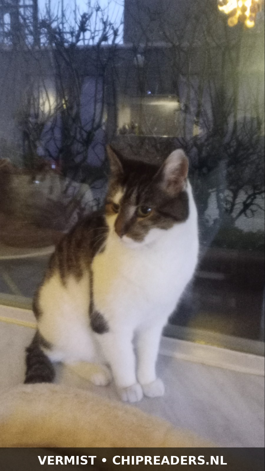 Foto van Floortje