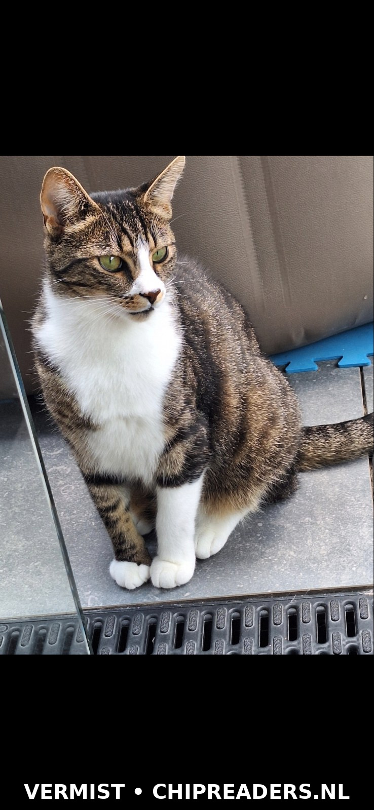 Foto van Charlie