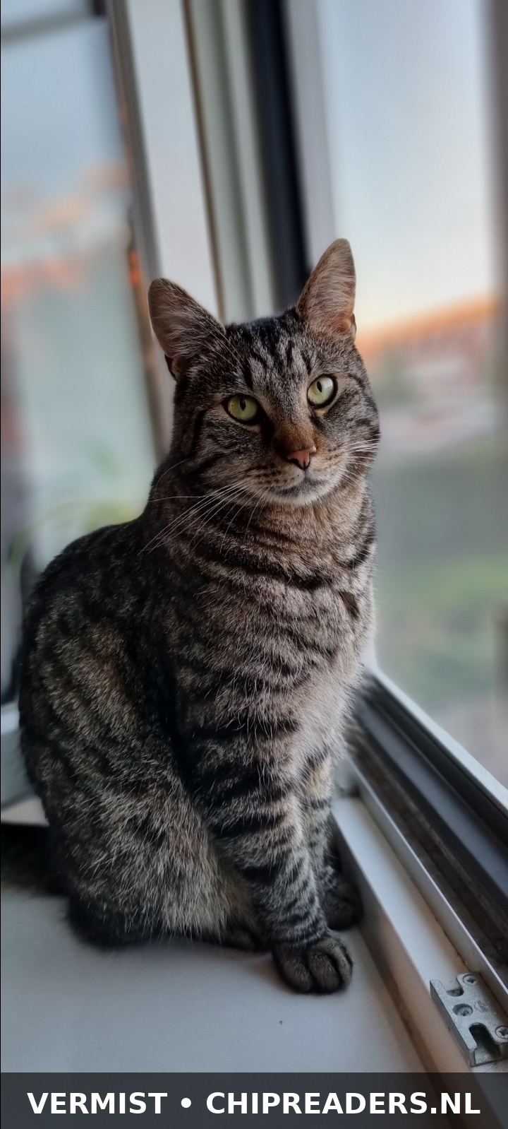 Foto van Guus