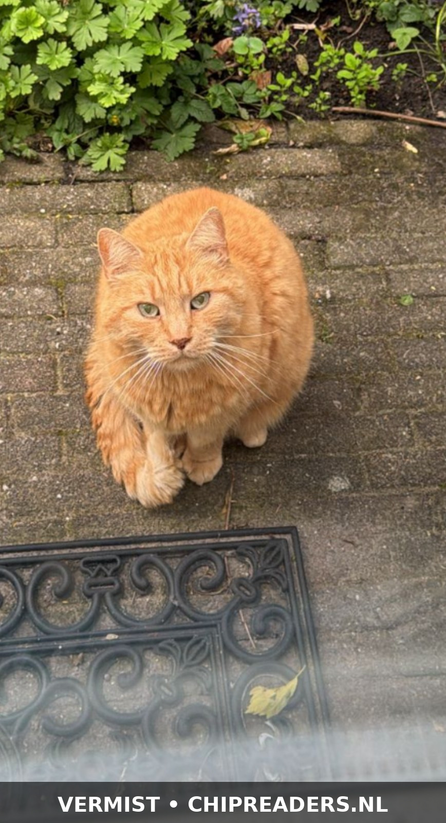 Foto van Billy